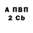 APVP крисы CK galina Shilina