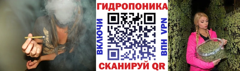 Каннабис план  Сатка 